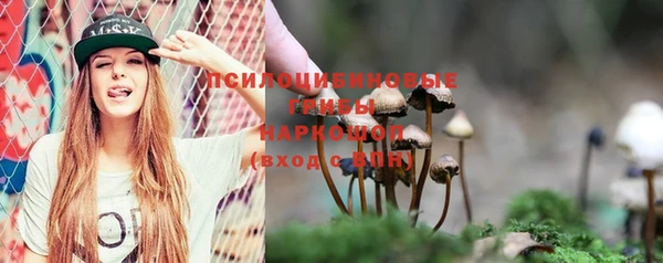 трава Елабуга