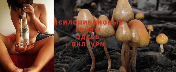 PSILOCYBIN Заволжск