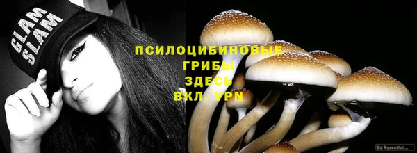 соль курить ск Заводоуковск