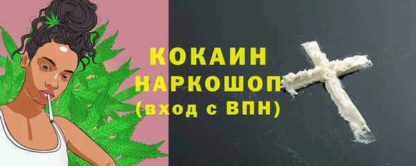 ALPHA PVP Елизово