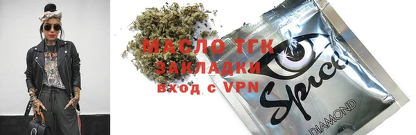 крисы Ельня