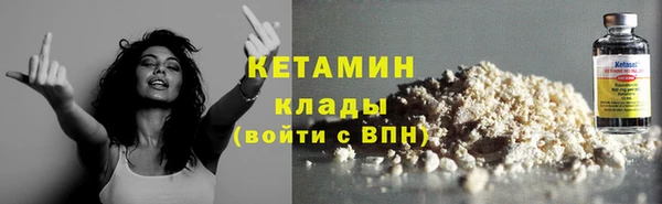 крисы Ельня
