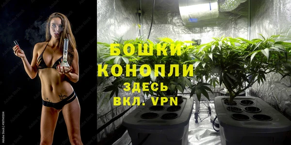 ALPHA PVP Елизово