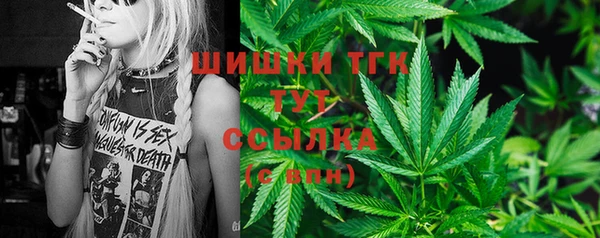 ALPHA PVP Елизово