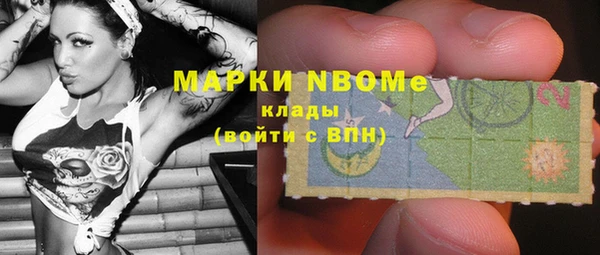 крисы Ельня