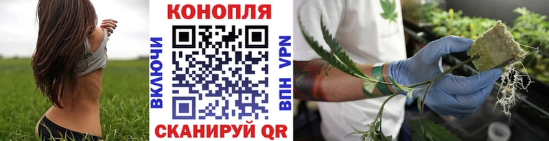 Бошки Шишки тримм  Купить  Семикаракорск 